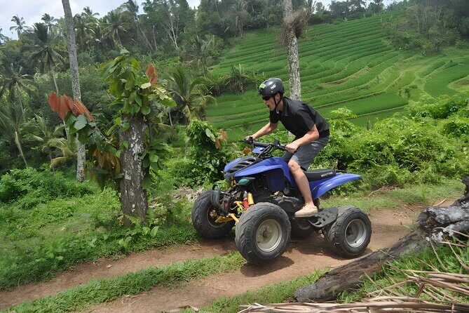 Bali Buggy and Ubud Tour Packages - Is This Tour for You?