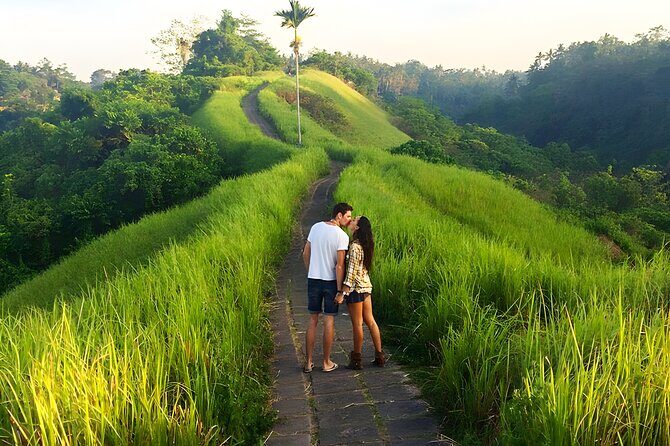 Bali Car-Charter: Half Day Ubud Village Tour - The Sum Up