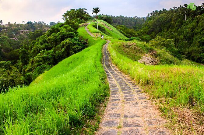 Bali Car-Charter: Half Day Ubud Village Tour - FAQ