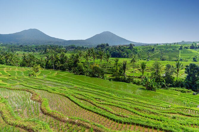 Bali Charm: Full-Day Bedugul and Tanah Lot Tour (UNESCO) - All Inclusive Tickets - Who Will Love This Tour?