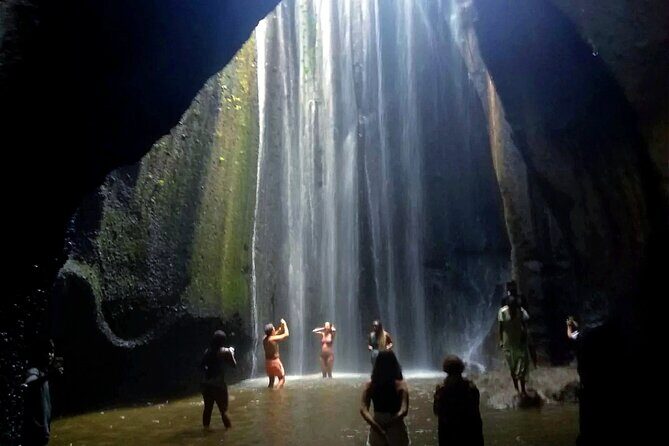 Bali Charter Tour Waterfall, Temple and Rice Fields - Final Thoughts