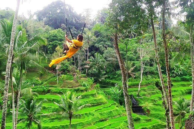 Bali Charter Tour Waterfall, Temple and Rice Fields - FAQ