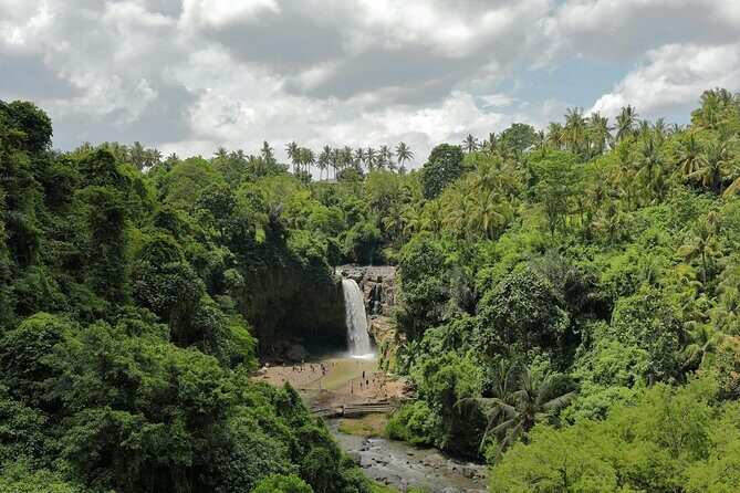 Bali Classic Volkswagen Safari and Ubud Village Tour - Exploring the Itinerary in Detail