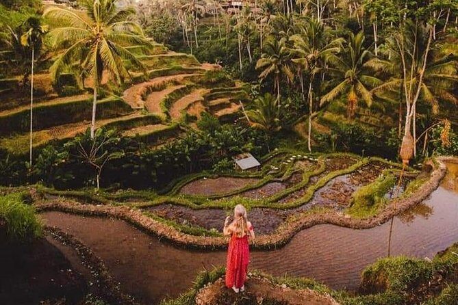 Bali Costumized Private Full-Day Tour - Exploring the Itinerary in Detail