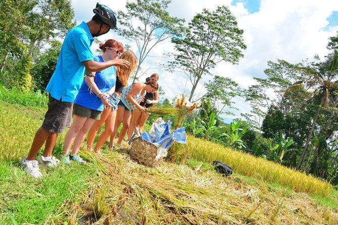 Bali Countryside Cycling Tours - Who Is This Tour Perfect For?