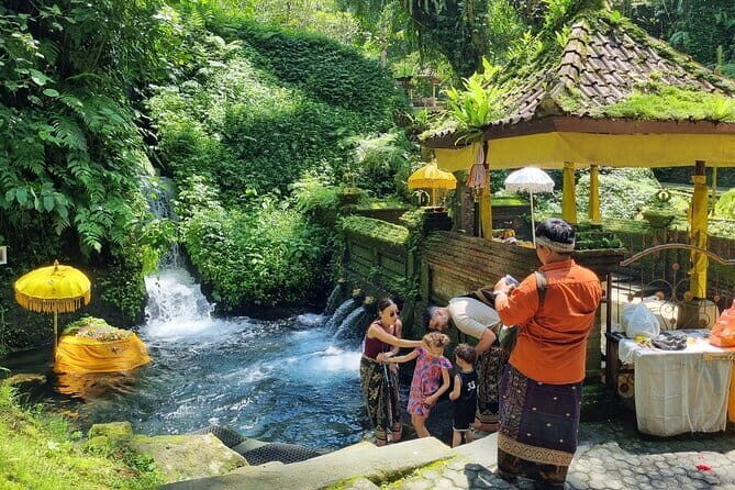 Bali Customizable Multi Language Tour with Driver-Guide - Why This Tour is Worth Considering