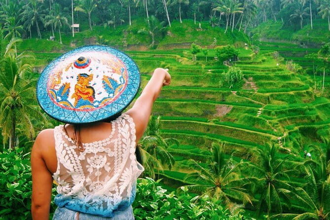 Bali Customizable Multi Language Tour with Driver-Guide - Review Insights and Key Praises