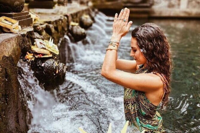 Bali Customizable Multi Language Tour with Driver-Guide - Final Thoughts