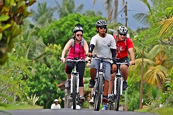 Bali Cycling and Ubud Tour Packages - The Sum Up
