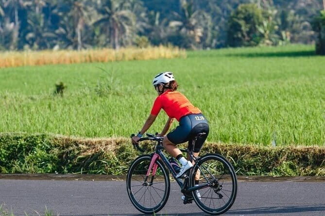 Bali Cycling Explore Village and Firefly with Lunch - Key Points