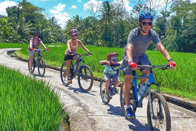 Bali Cycling Explore Village and Firefly with Lunch - Who Is This Tour Perfect For?
