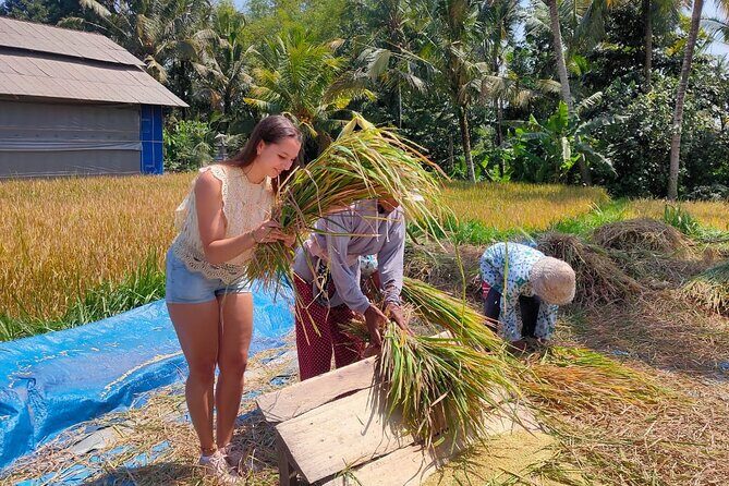 Bali Cycling Rural Tour Including Hotel Pick up - A Closer Look at the Itinerary and What You’ll Experience