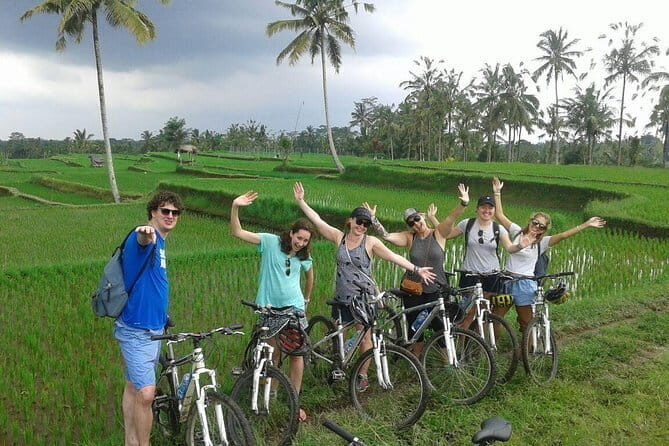 Bali Cycling Tour - Key Points