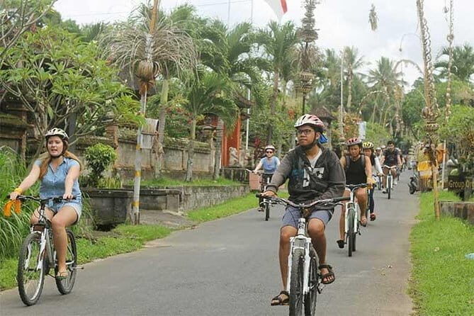 Bali Cycling Tour - What Travelers Say