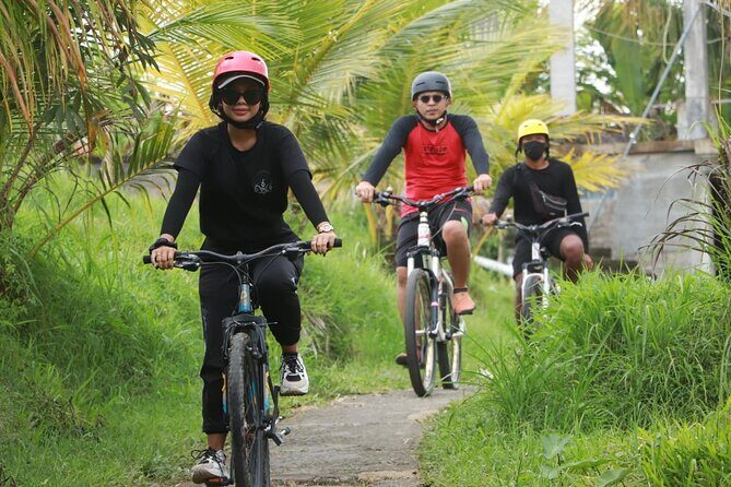 Bali Cycling Tour with Private Hotel Transfer - A Deep Dive into the Bali Cycling Experience