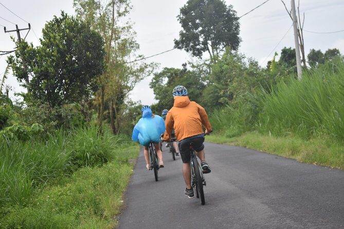 Bali Cycling Tour with Private Hotel Transfer - Who Should Consider This Tour?