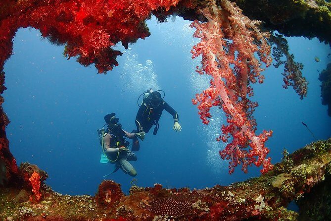Bali Diving for Beginners: Tulamben Liberty Wreck - The Authenticity and Safety Backdrop