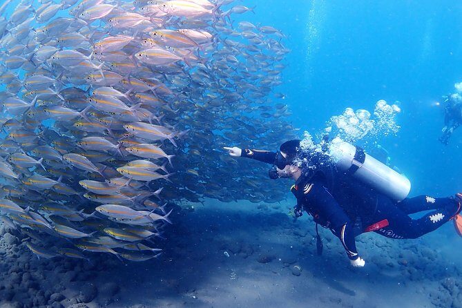 Bali Diving for Beginners: Tulamben Liberty Wreck - Pricing and Overall Value