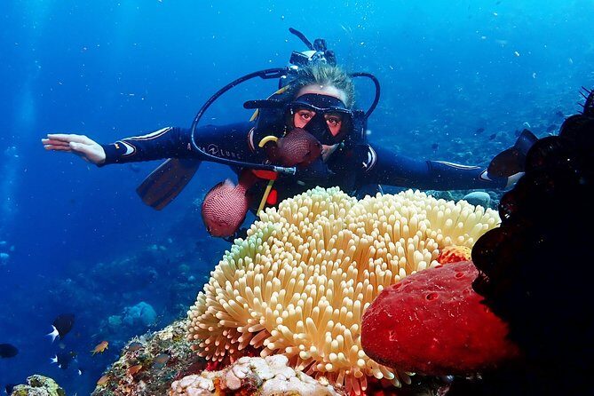 Bali Diving for Beginners: Tulamben Liberty Wreck - The Sum Up