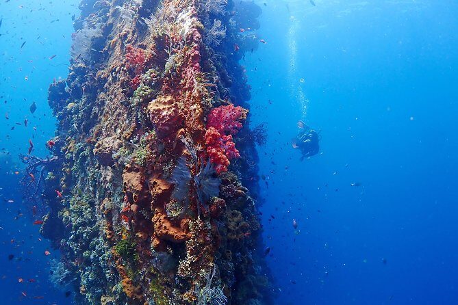 Bali Diving for Beginners: Tulamben Liberty Wreck - FAQ