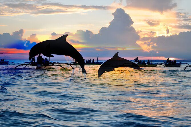 Bali Dolphin Watching Sunrise Tour in Lovina Beach - Who Is This Tour Best Suited For?