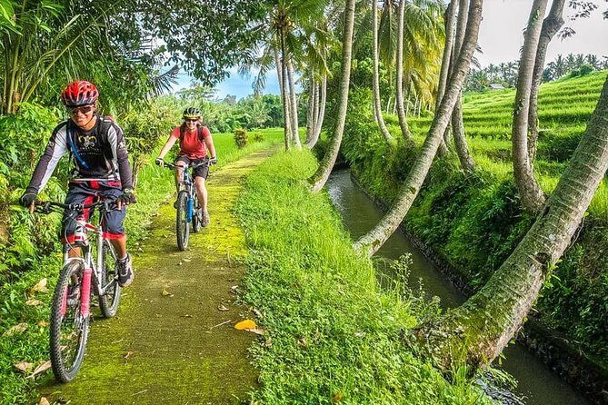 Bali Downhill Cycling and White Water Rafting - An In-Depth Look at the Bali Downhill Cycling and White Water Rafting Tour