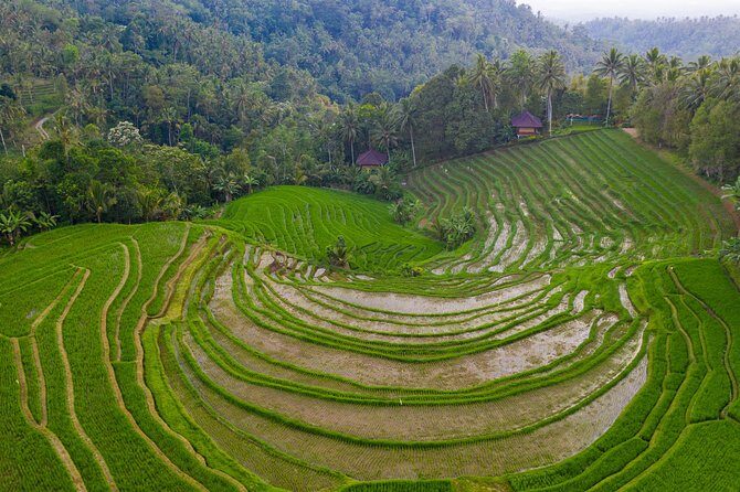 Bali Drone Photography Tour - Who Is This Tour Best For?