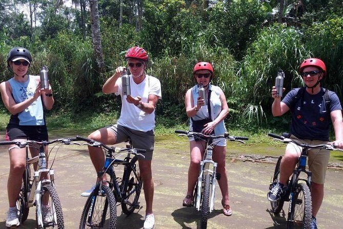 Bali Eco & Educational Cycling Tour - Final Thoughts: Is This Tour Worth It?