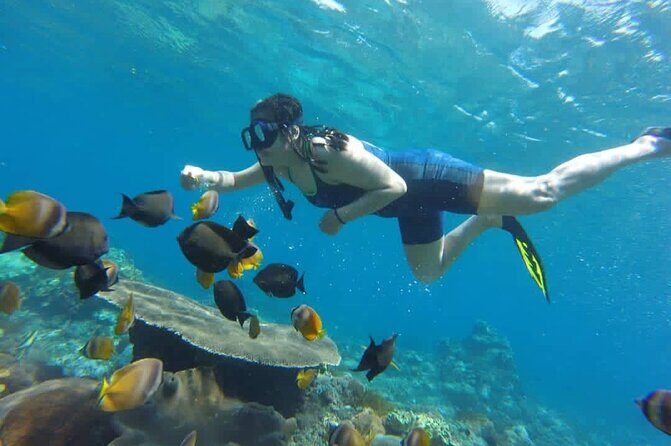 Bali Experience Blue lagoon snorkeling and hidden waterfall - Key Points