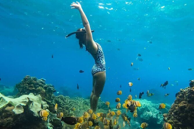 Bali Experience Blue lagoon snorkeling and hidden waterfall - Discovering Bali’s Underwater World and Hidden Waterfalls