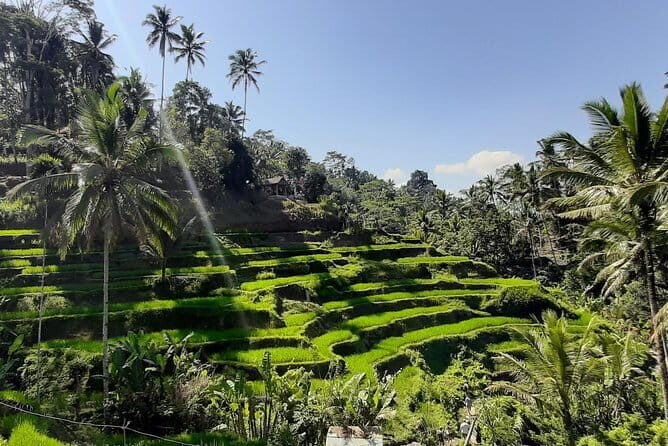 Bali Fishing Trip Private Boat - Final Thoughts