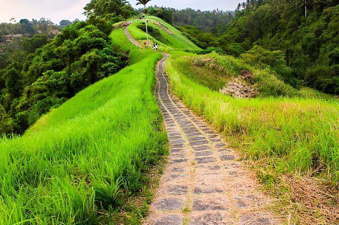 Bali Full-Day Car Charter: All About Ubud Village Trip Experience - What’s Included and What to Consider