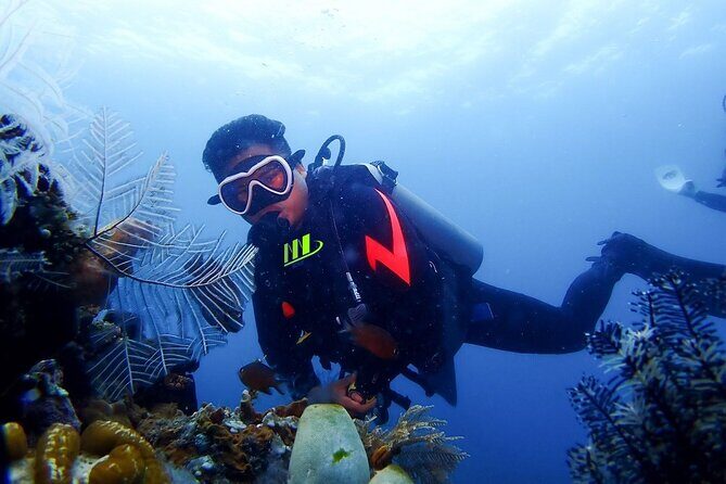 Bali Full Day Experience Scuba Diving Tour at Tulamben - What Makes This Tour Stand Out?