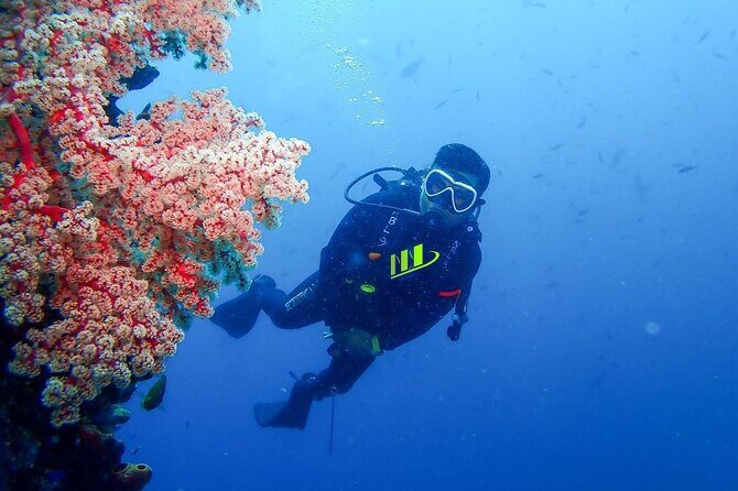 Bali Full Day Experience Scuba Diving Tour at Tulamben - What Do the Reviews Say?