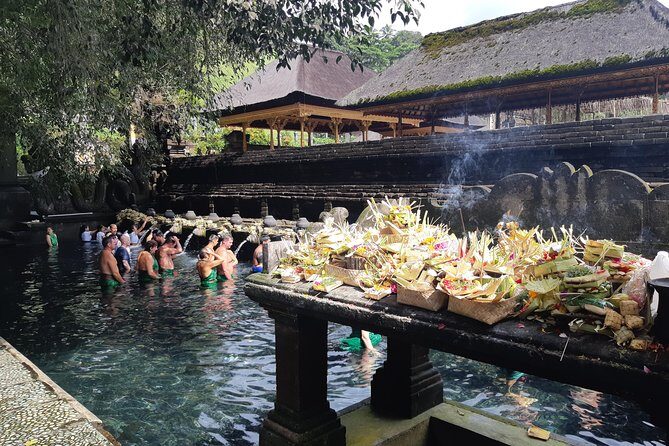 Bali Full Day Holy Water Tour - Who Should Consider This Tour?
