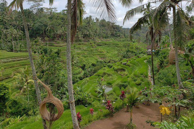 Bali Full Day Holy Water Tour - FAQ