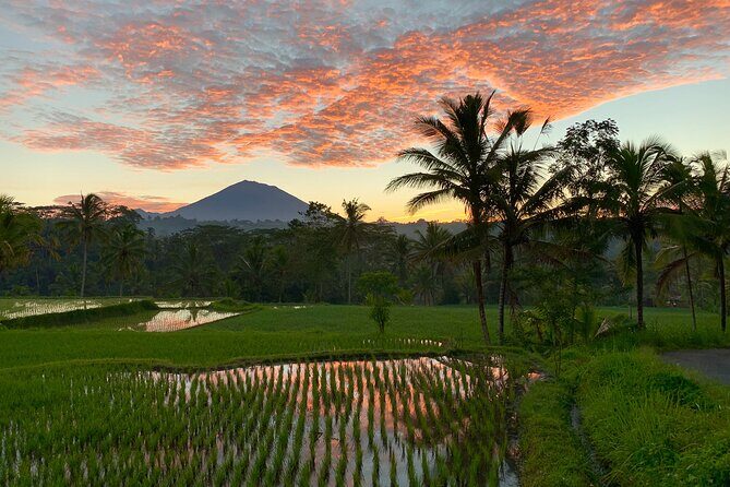 Bali Full Day Photography Tour - Who Will Love This Tour?