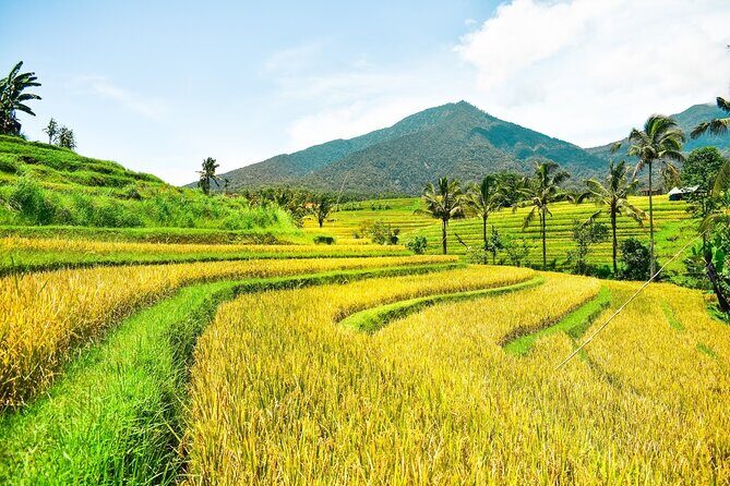 Bali Full-Day Private Customize Tour - Who Will Love This Tour?