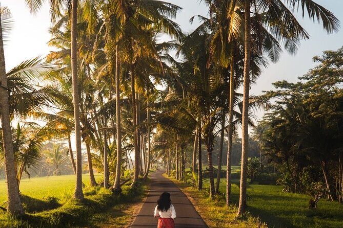 Bali Full Day Private Tour - Who Would Benefit Most from This Tour?