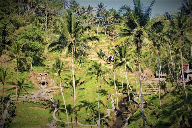 Bali Full Day Tour | Individual Route in Bali | Bali Guide | Free Wi-Fi - The Sum Up