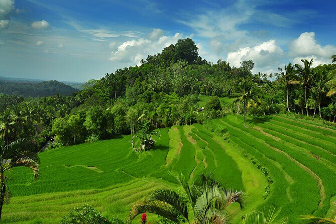 Bali Full Day-Tour: Kintamani Volcano and Besakih Temple Tour - Overview: Why This Tour Is Worth Considering