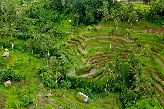 Bali Full Day-Tour: Ubud Sightseeing Trip - Final Thoughts