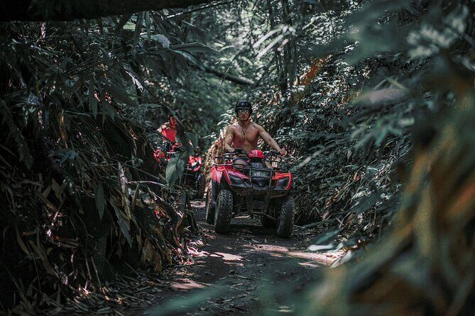 Bali: Gorilla Face ATV Bali Ubud Adventure with Lunch - The Itinerary: What to Expect
