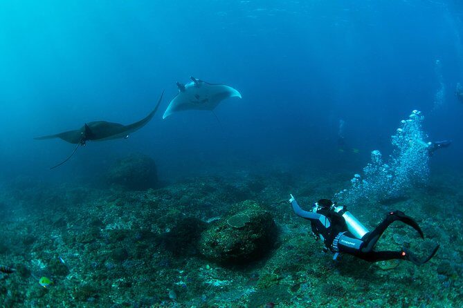Bali Hai - PADI Advance Open Water Course in Lembongan - Key Points