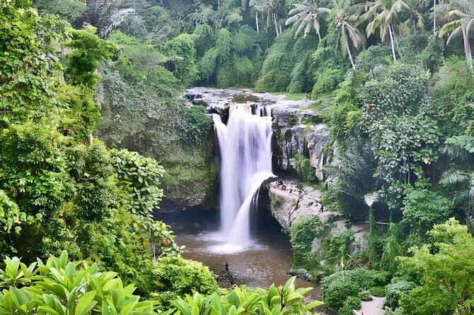 Bali Half-Day Car Charter: Ubud Waterfall Trip for 7 Hours - Key Points