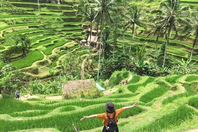 Bali Highlight Private Packages Tours 3 Days - An In-Depth Look at the 3-Day Bali Tour
