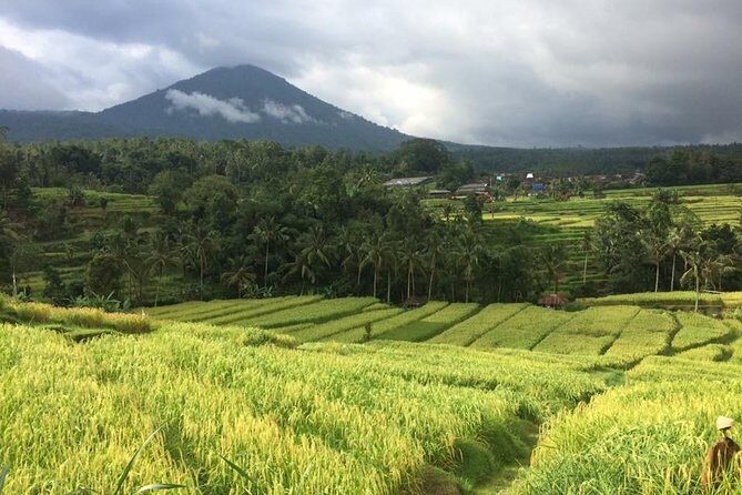 Bali Highlight Tours - FAQ