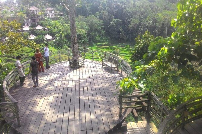 Bali Hindu temple, Rice terrace, Waterfall -All Inclusive - Final Verdict: Who Is This Tour Perfect For?