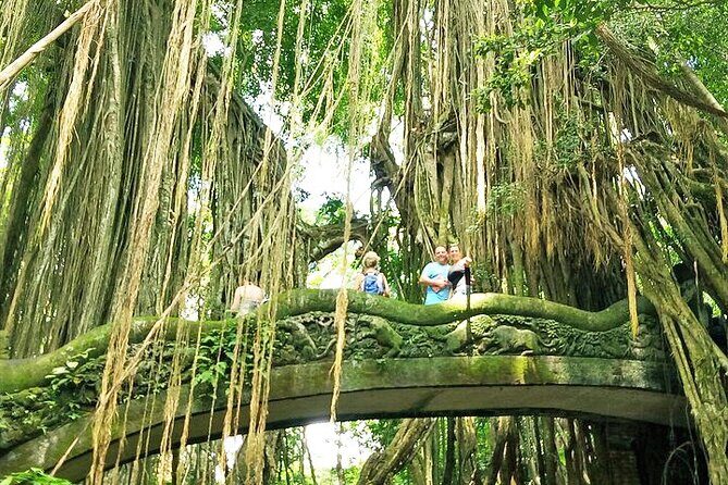 Bali Holy Bathing Ritual and Ubud Highlights tour - The Itinerary Breakdown