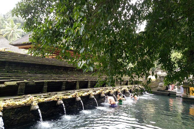 Bali Holy Bathing Ritual and Ubud Highlights tour - Transport & Comfort